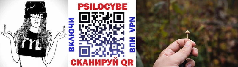 Купить закладки  Кузнецк  Галлюциногенные грибы GOLDEN TEACHER 