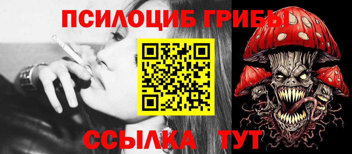 Псилоцибиновые грибы мухоморы  Кузнецк  Галлюциногенные грибы мицелий 