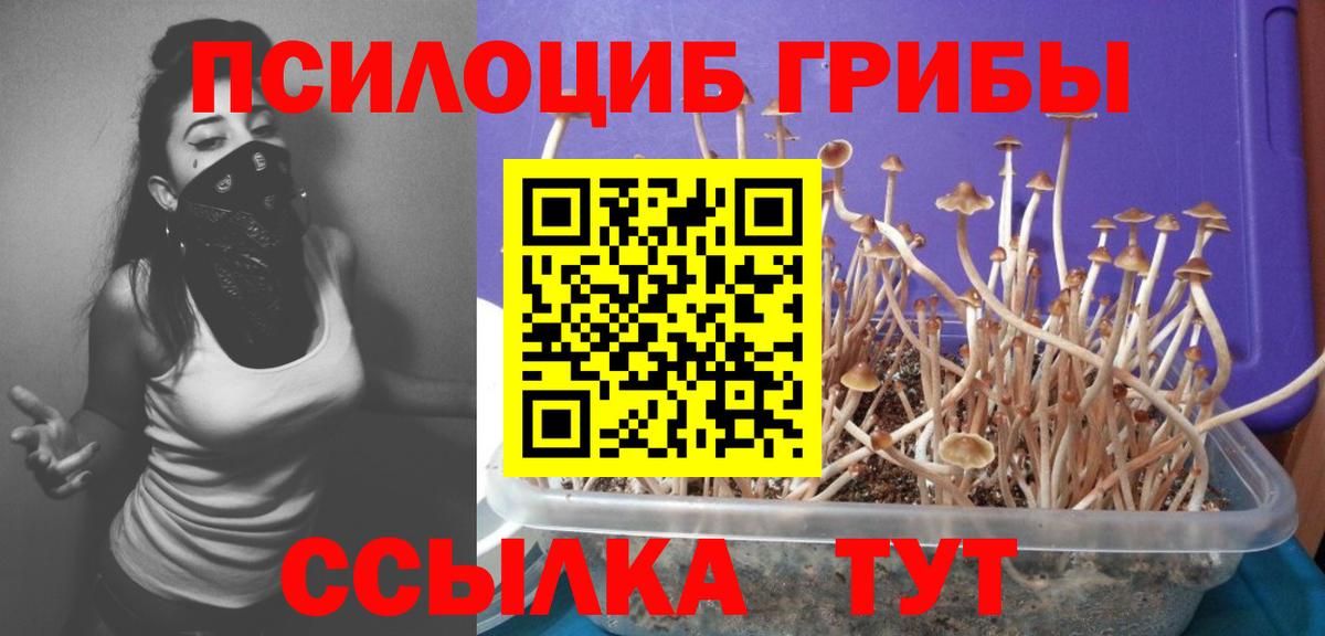 Галлюциногенные грибы MAGIC MUSHROOMS Кузнецк